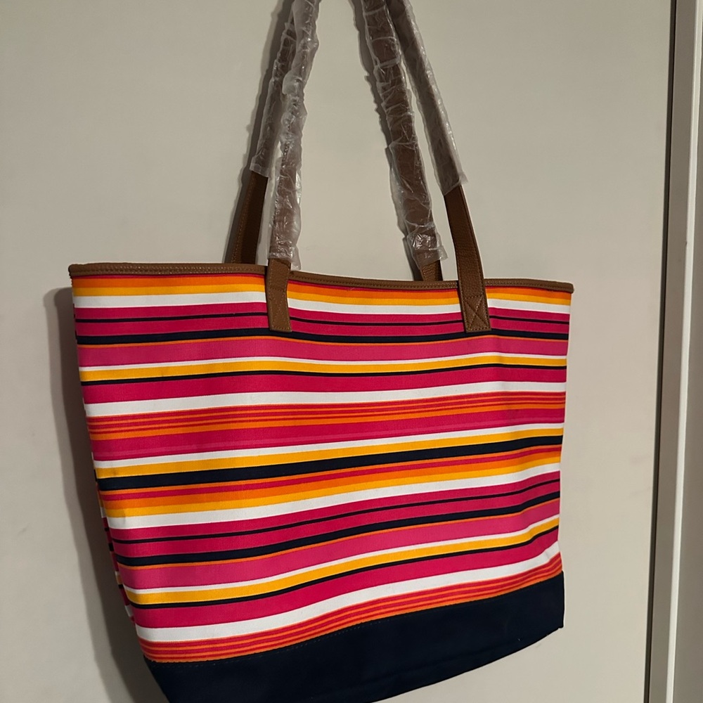 Striped Multicolor  31 Tote Bag